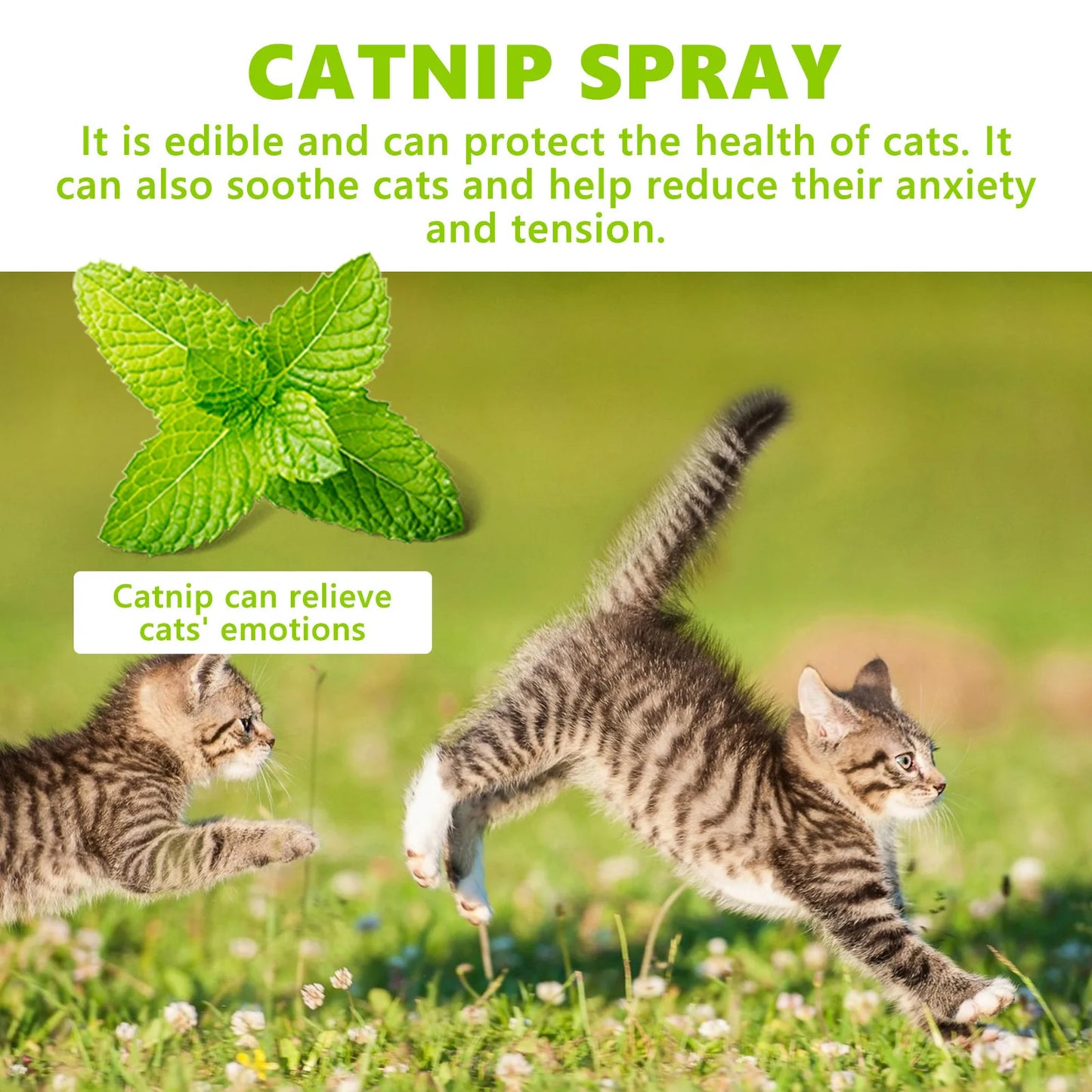 Yegbong 100ml Cat Catnip Spray Relieve Stress And Calm Pets