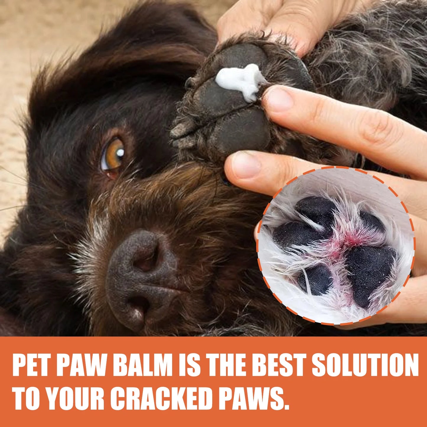 Pet Paw Cream 30g Dog and Cat Paw Protection Cream