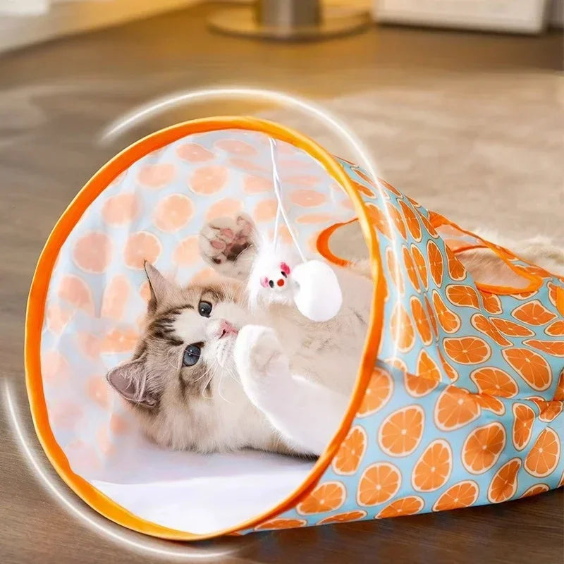 Cat Tunnel