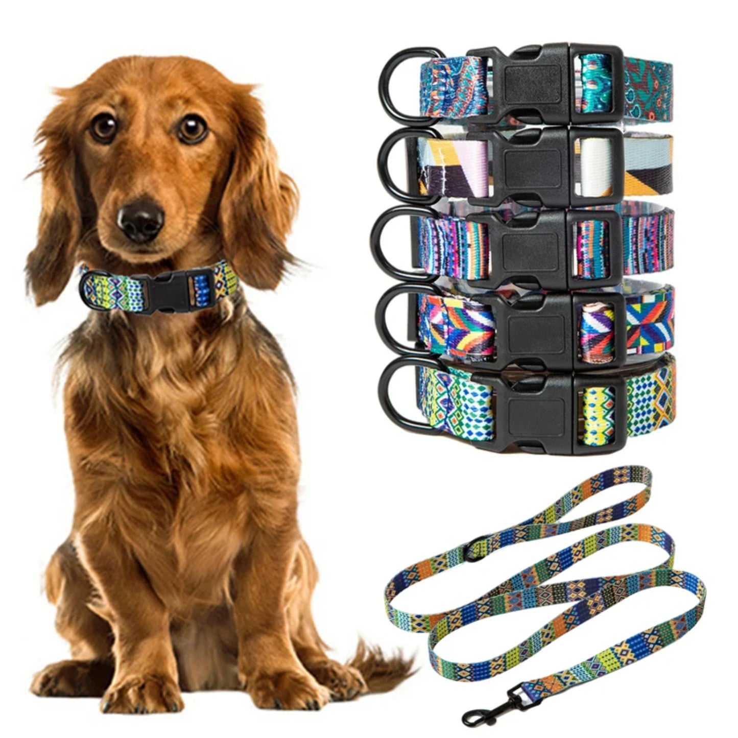 Stylish Adjustable Dog Collar and Leash Set for Pets