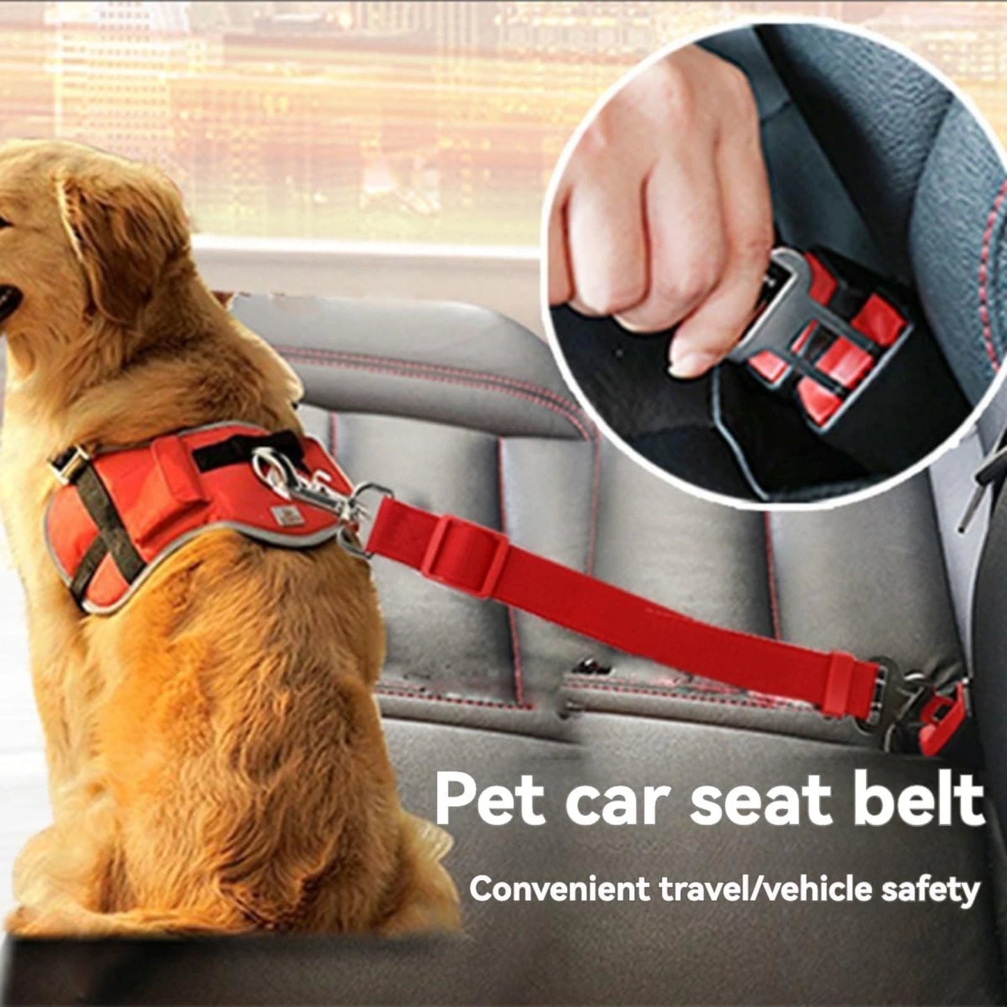 3 Pcs Adjustable Dog Cat Vehicle Safety Leash Set