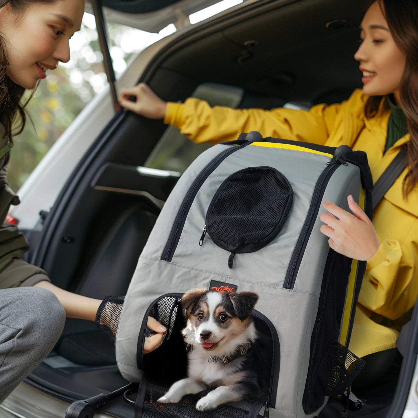 Car Seat 2-in-1 Travel Bracket Pet Travel Cart Portable