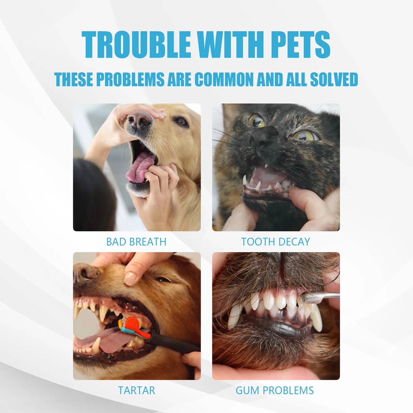 60g Pet Toothpaste Cat Dog Fresh Breath Cleaning Tartar