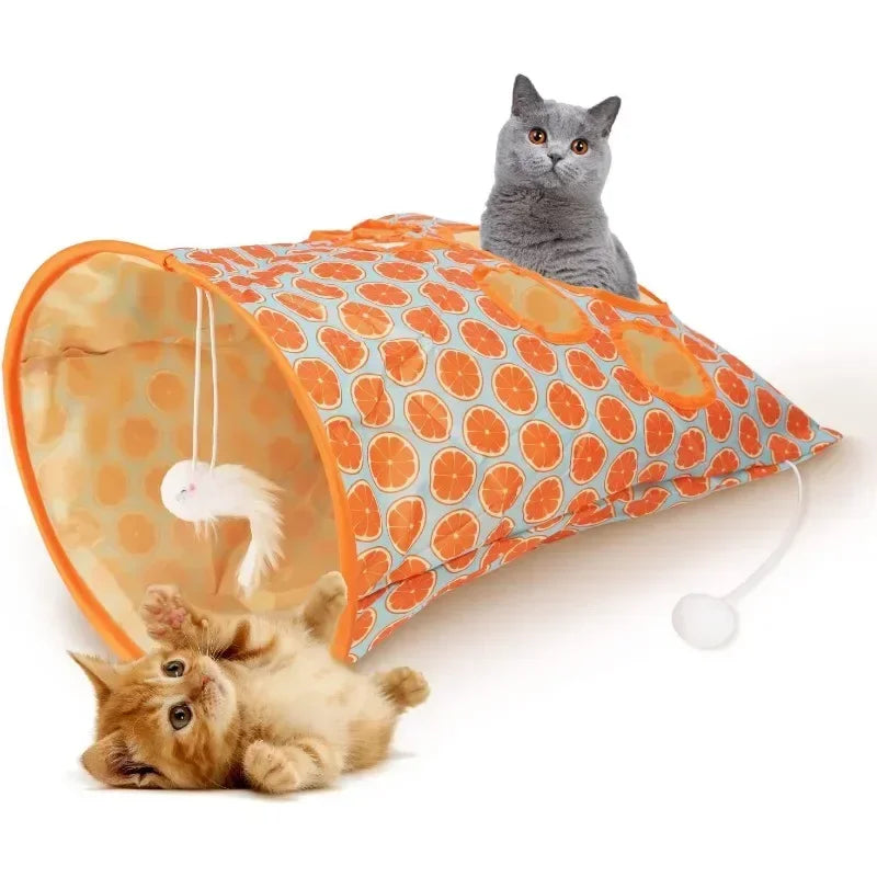 Cat Tunnel