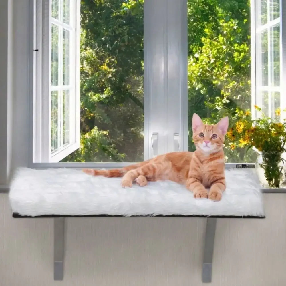Window Installation Cat Habitat Window Bed Cat Shelf Seat