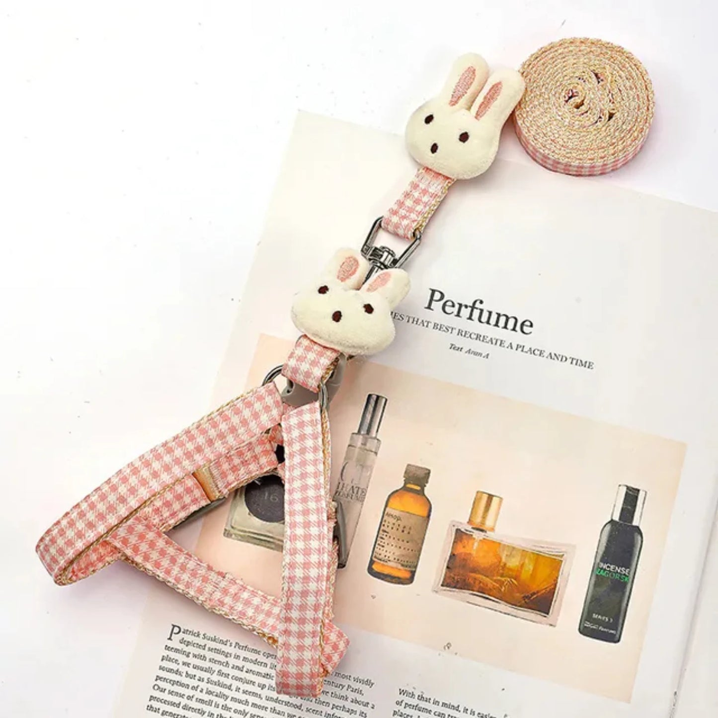 Adjustable Small Dog or Cat Harness and Leash Set