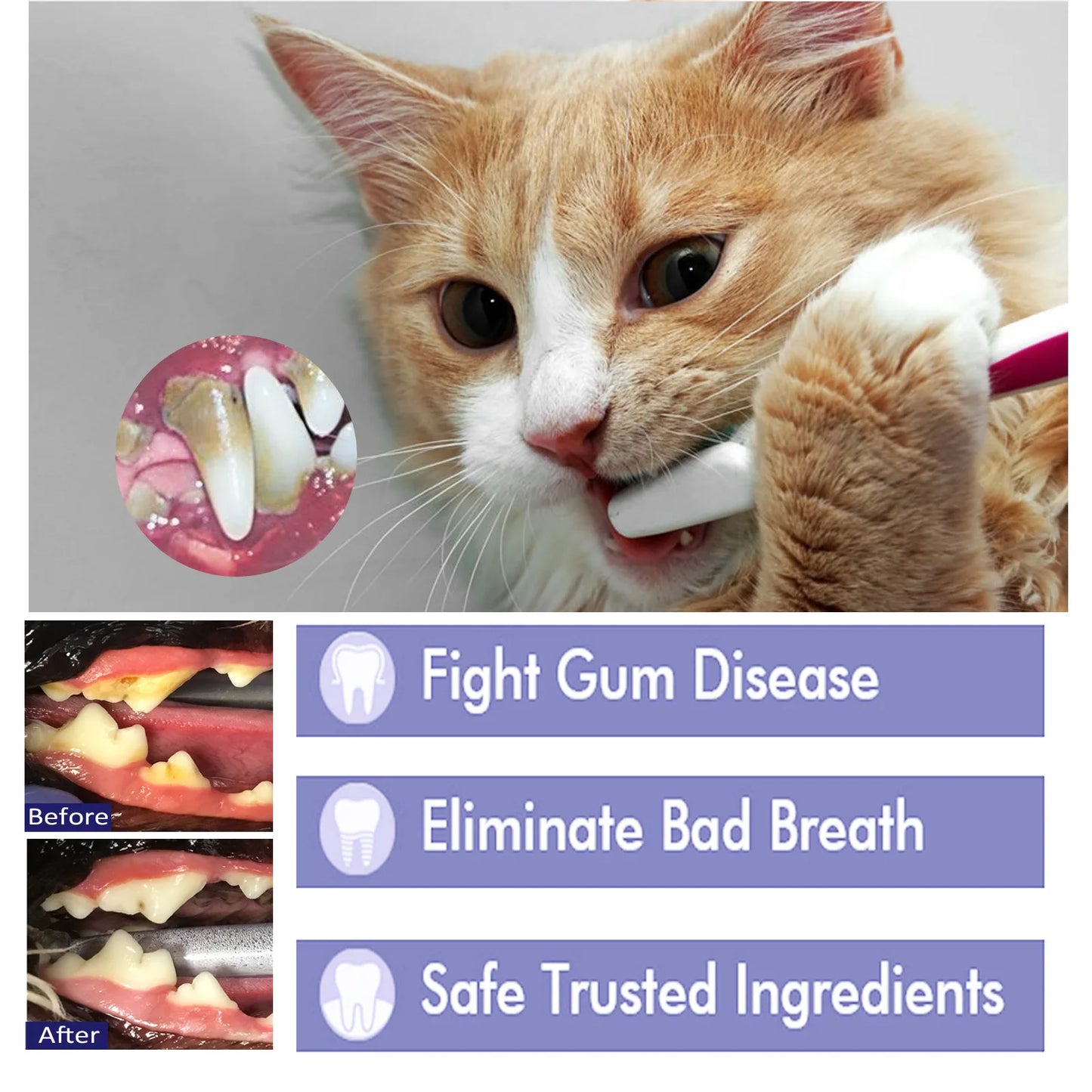 Yegbong 50g Pet Oral Cleaning Cream Whiten Teeth Toothpaste