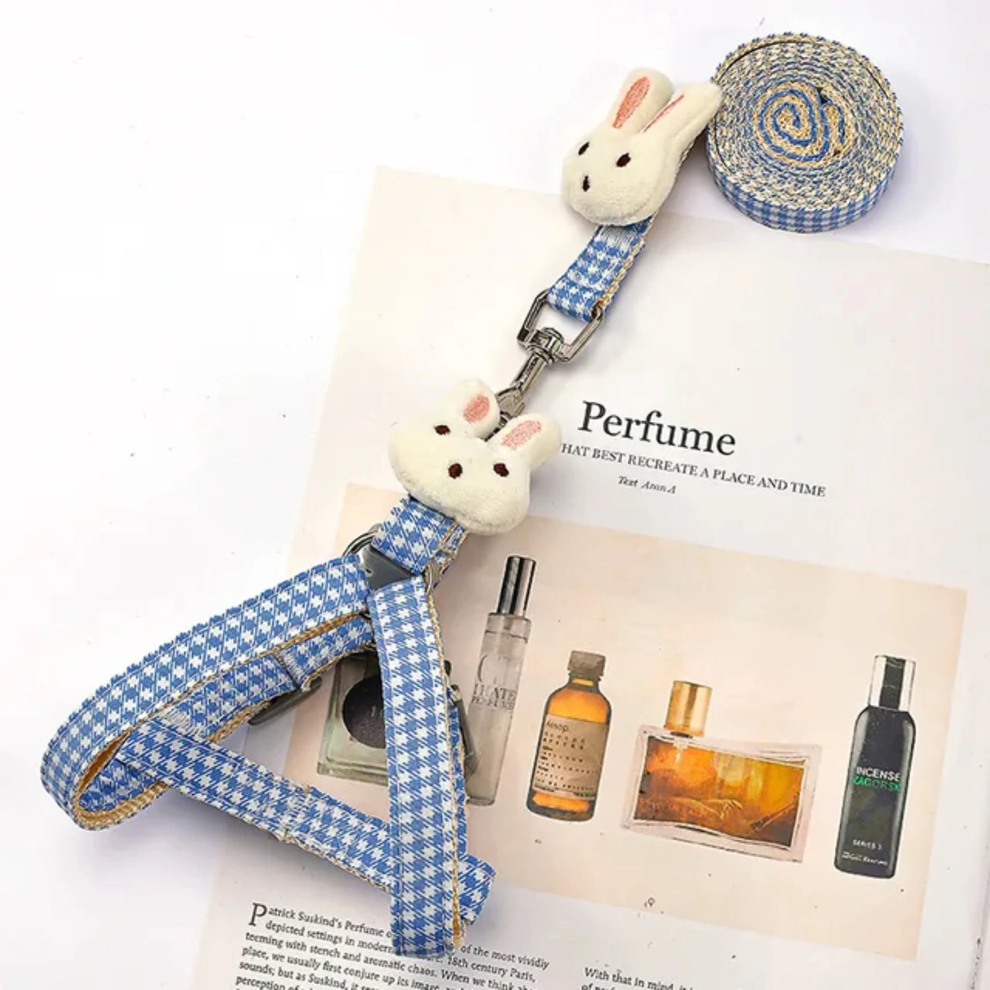 Adjustable Small Dog or Cat Harness and Leash Set
