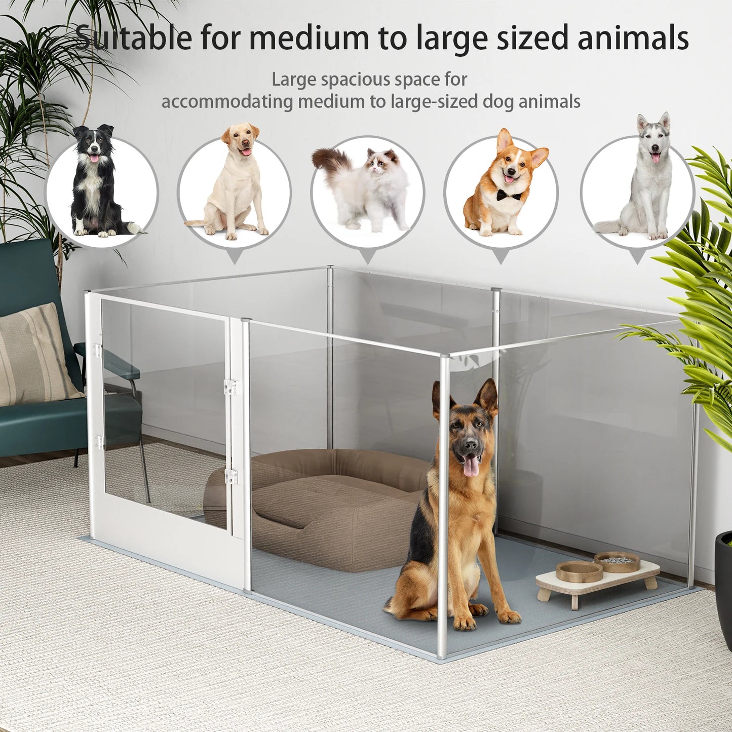 Acrylic Fence, Exercise, Waterproof Pad for Cats, Puppies