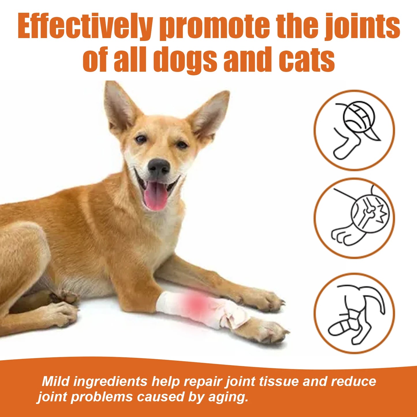 YEGBONG Pet Bee Venom Water Saving Cats Dogs Relieve Joint Pain