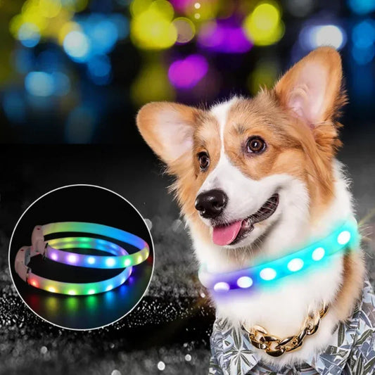 LED Pet Collar Luminous flashing Lights Safety Glow Usb