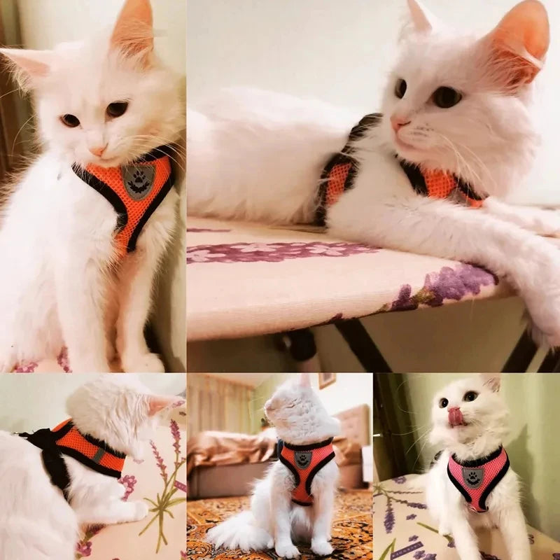 Adjustable Cat Dog Vest Walking Harness for Safe Outings