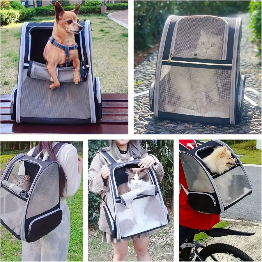 Innovative Traveler Bubble Backpack Pet Carriers for Cats