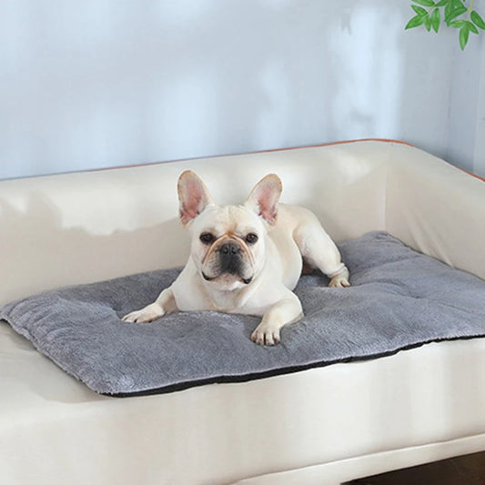 Dog Bed Short Plush Pet Heated Sleeping Mat for Cats and Dogs
