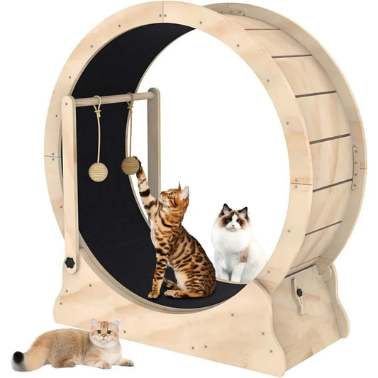 Cat Running Wheel Treadmill