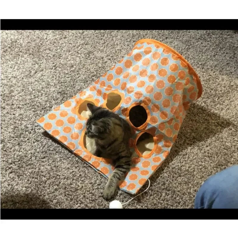 Cat Tunnel