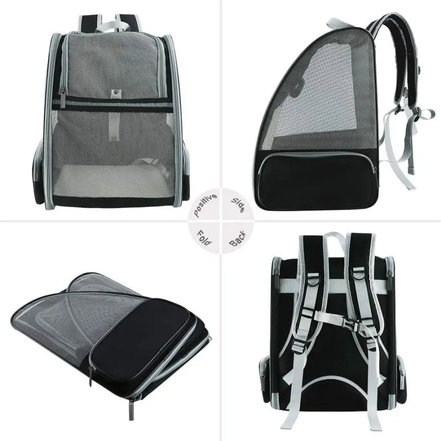 Innovative Traveler Bubble Backpack Pet Carriers for Cats