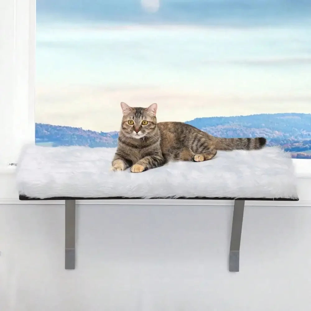 Window Installation Cat Habitat Window Bed Cat Shelf Seat