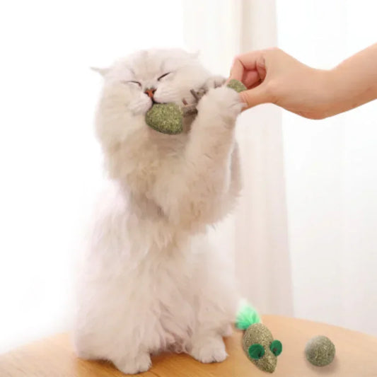 Pet Cat Kitten Matatabi Cleaning Teeth Stick Molar Cat Nip