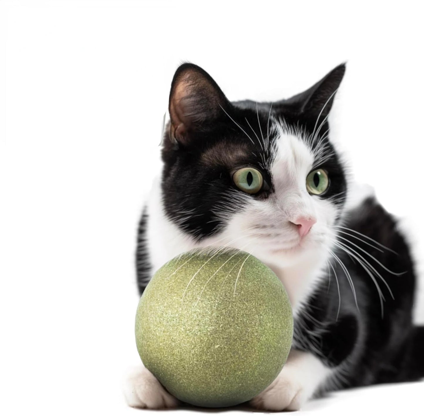 Giant Catnip Ball - Large Jumbo Teeth Cleaning Toy - Long-lasting
